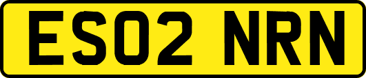 ES02NRN