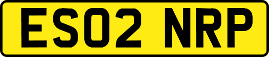 ES02NRP