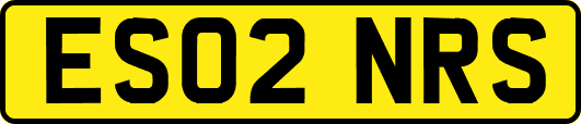 ES02NRS