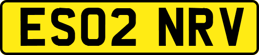 ES02NRV