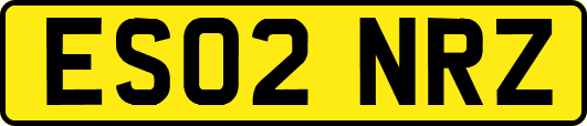 ES02NRZ