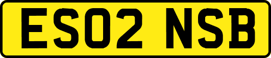 ES02NSB