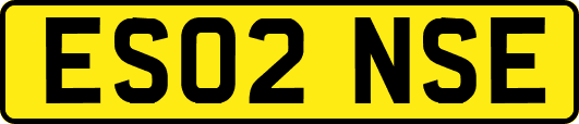 ES02NSE