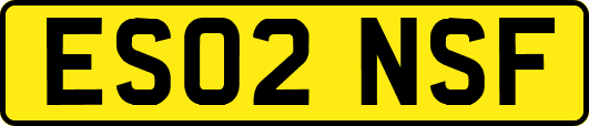 ES02NSF