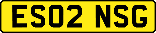 ES02NSG