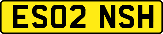 ES02NSH
