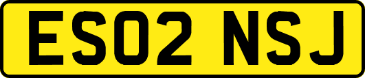 ES02NSJ