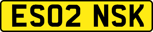 ES02NSK