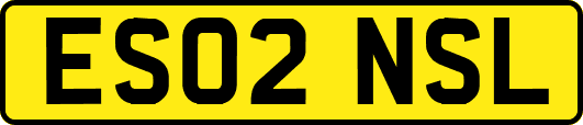 ES02NSL