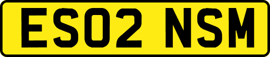 ES02NSM