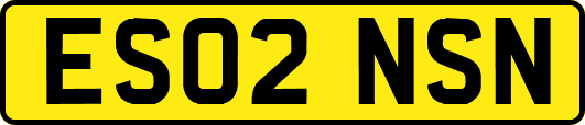 ES02NSN