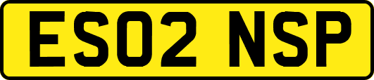ES02NSP