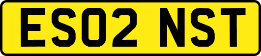 ES02NST