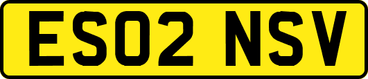 ES02NSV