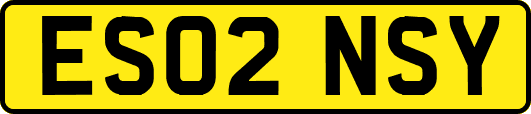 ES02NSY
