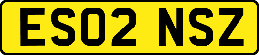 ES02NSZ