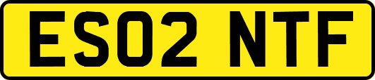 ES02NTF