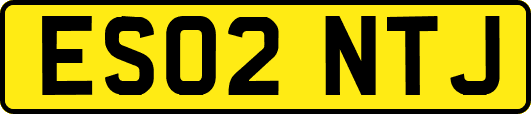 ES02NTJ