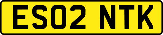 ES02NTK