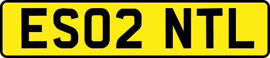 ES02NTL