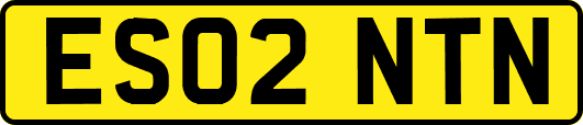 ES02NTN