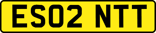 ES02NTT