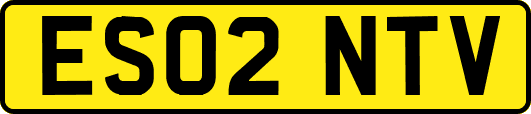 ES02NTV