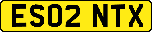 ES02NTX