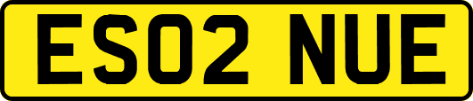 ES02NUE