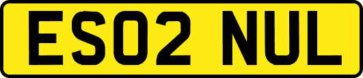 ES02NUL
