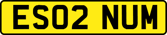 ES02NUM