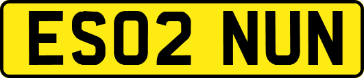 ES02NUN