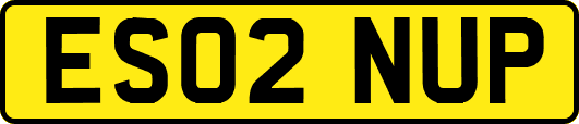 ES02NUP