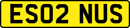 ES02NUS