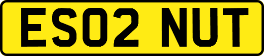 ES02NUT