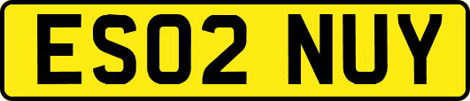 ES02NUY
