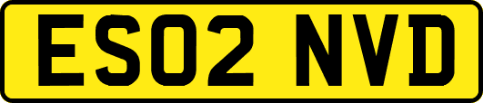 ES02NVD