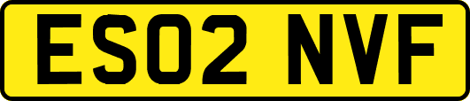 ES02NVF