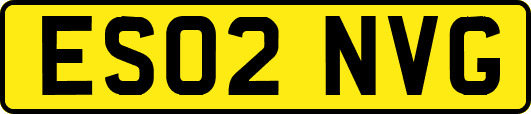 ES02NVG