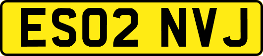 ES02NVJ