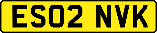 ES02NVK