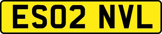 ES02NVL