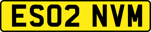 ES02NVM