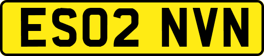 ES02NVN