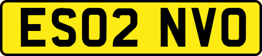 ES02NVO