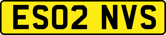 ES02NVS