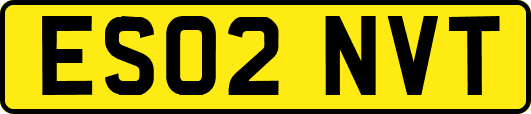 ES02NVT