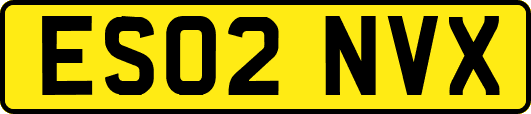 ES02NVX