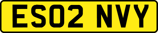 ES02NVY
