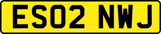 ES02NWJ
